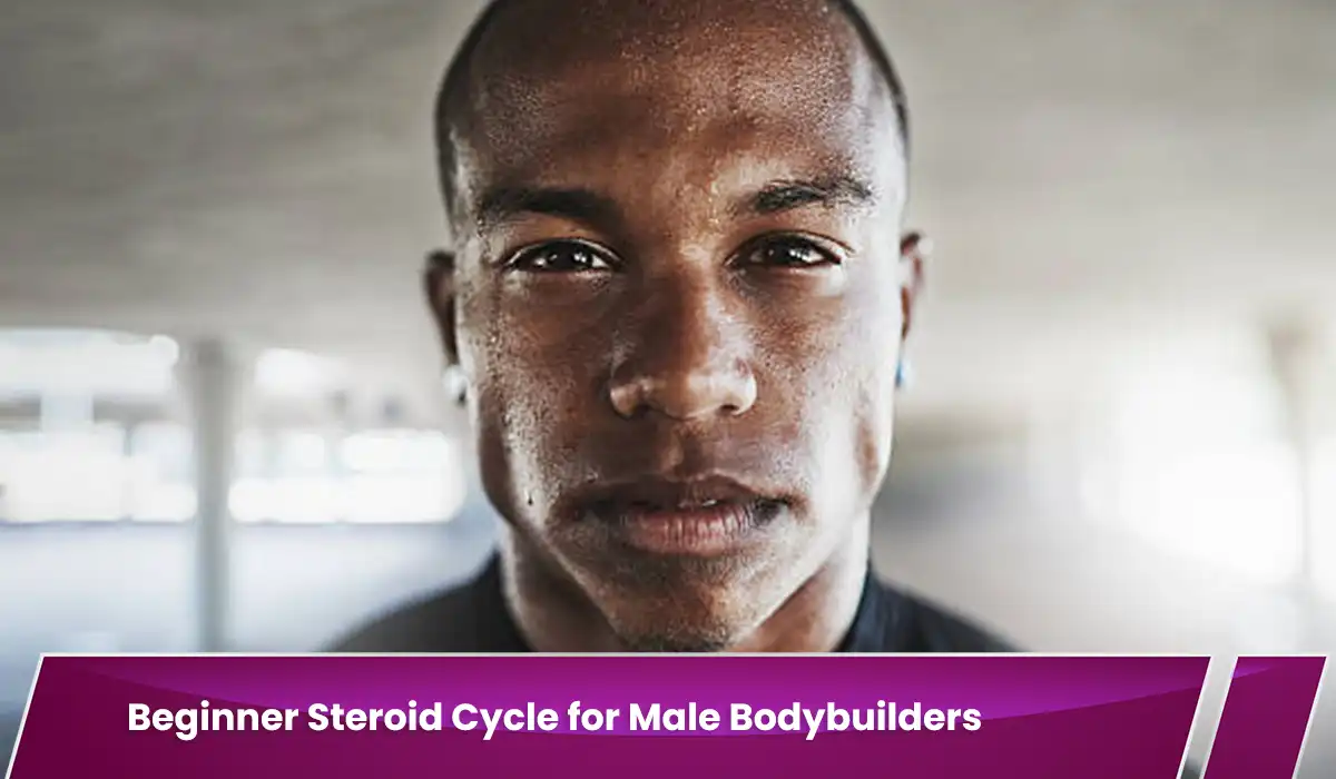 Beginner Steroid Cycle for Male Bodybuilders