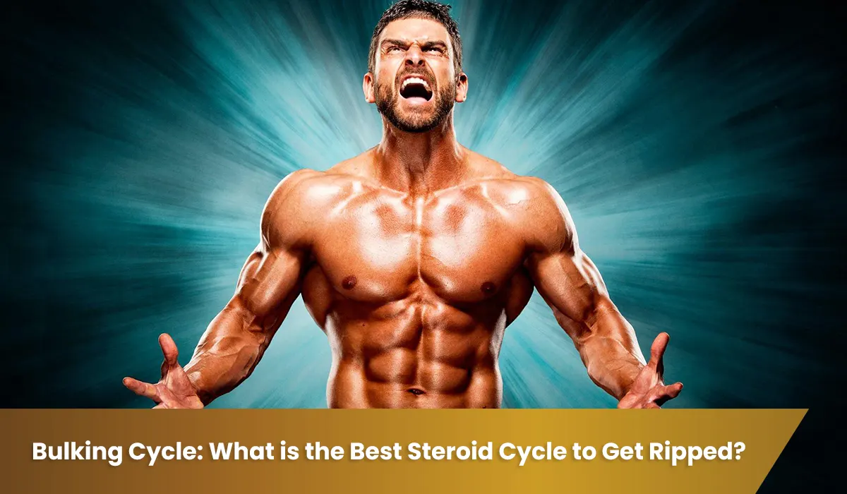 Bulking Cycle: What is the Best Steroid Cycle to Get Ripped?