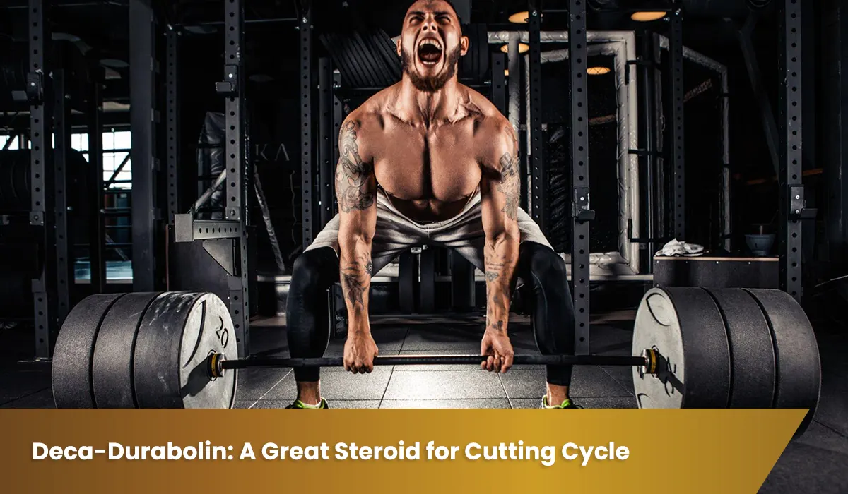 Deca-Durabolin: A Great Steroid for Cutting Cycle and Bodybuilding Training post thumbnail image