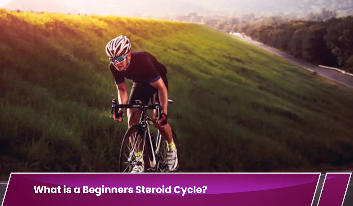 What is a Beginners Steroid Cycle?
